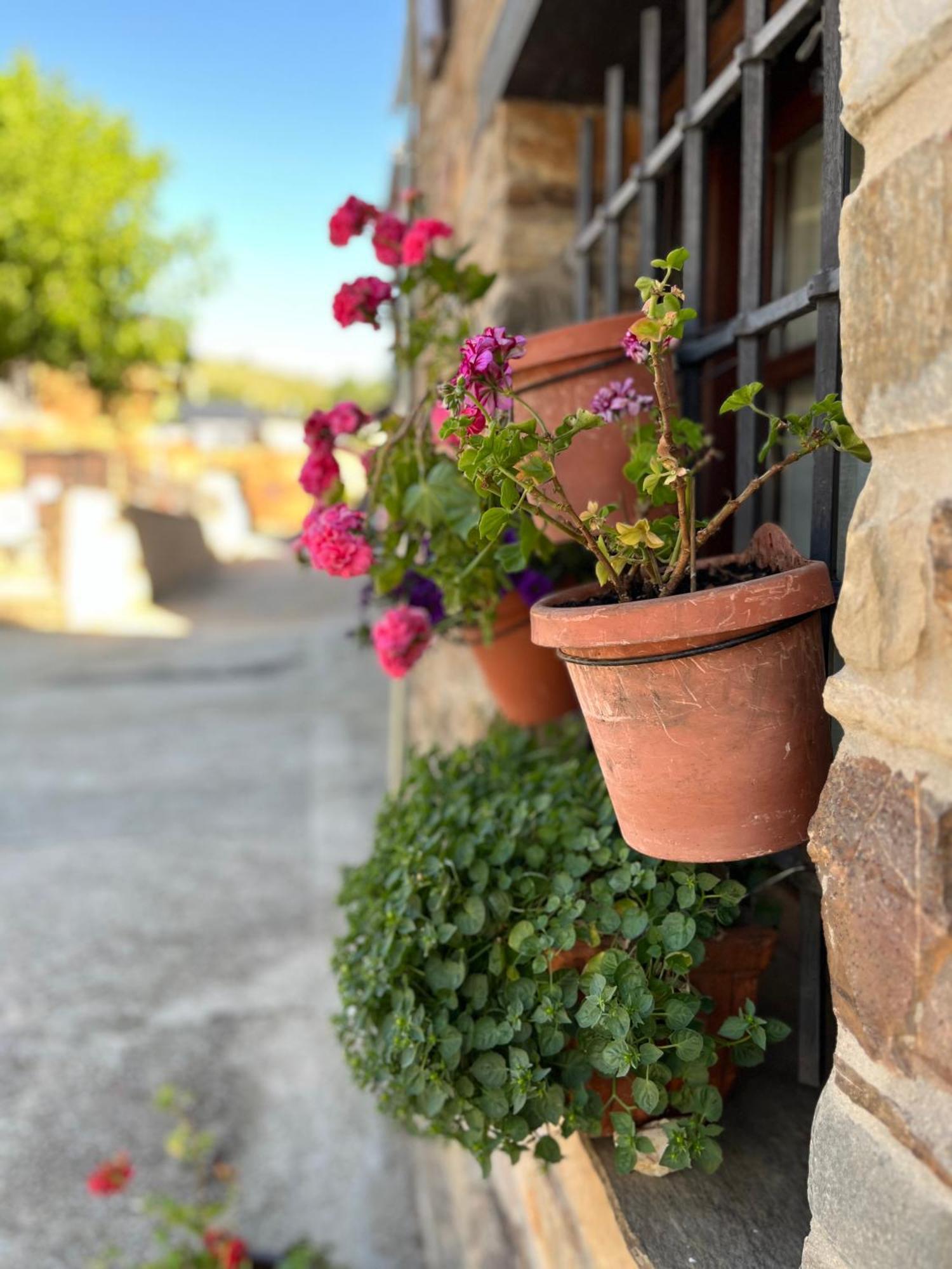 Villa La Casina De Gelo à Riego de Ambros Extérieur photo