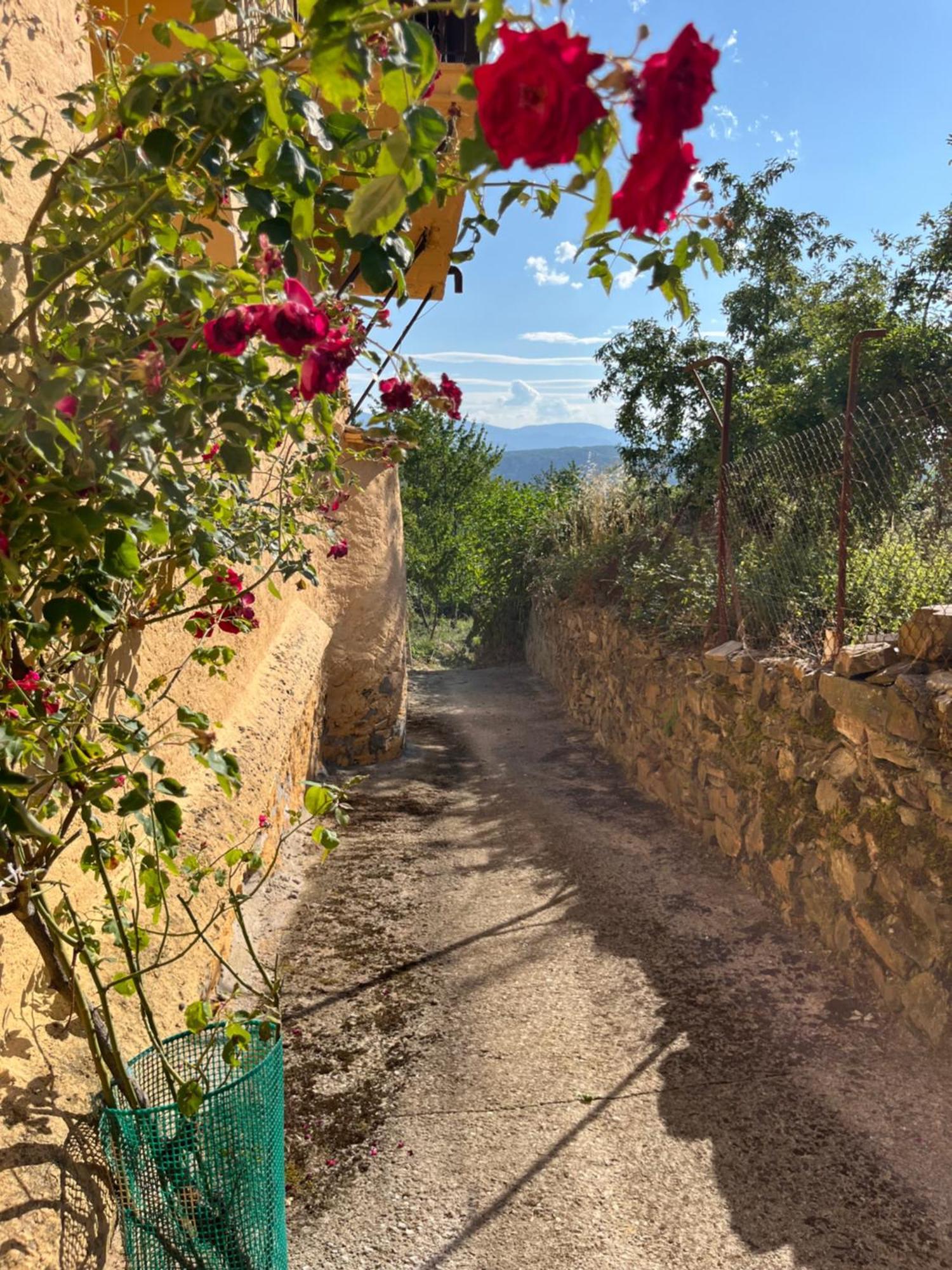 Villa La Casina De Gelo à Riego de Ambros Extérieur photo